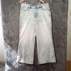 Judy Blue High Waist Tummy Control Retro Wide Leg Womens 20W